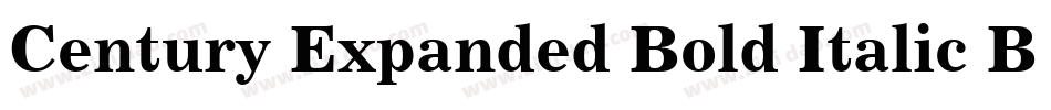 Century Expanded Bold Italic BT字体转换